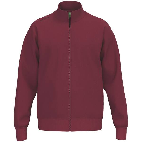 ERIMA Herren Sweatjacket TS von erima