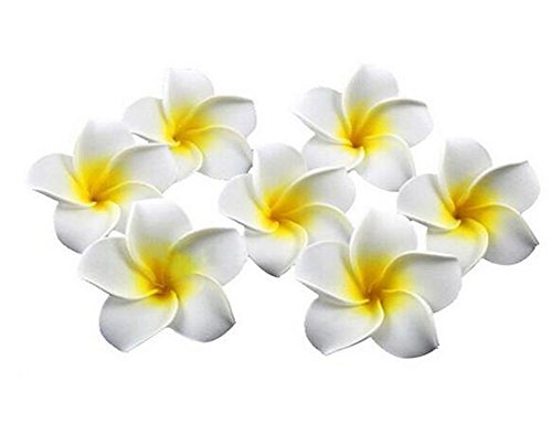 12 Stück Frauen Mädchen 2,4 Zoll / 6 cm Hawaii Frangipani Schaumstoff Blume Haar Clips für Hochzeit Party Beach Dekoration Haarspange Hawaii Haarklammer (Gelb) von erioctry