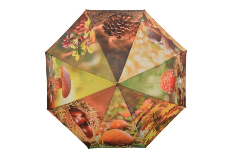 esschert design Stockregenschirm Regenschirm mit HERBSTMOTIVE, automatischer Öffnungsmechanismus von esschert design