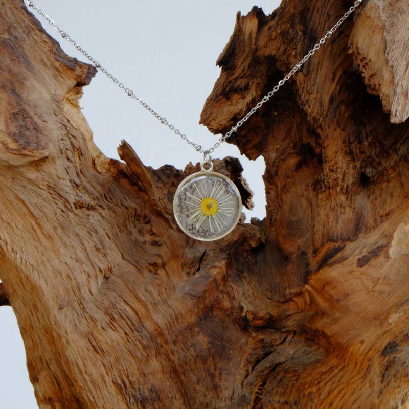 Gänseblümchenanhänger in Silbriger, Runder Fassung, Gänseblümchen Eingebettet Kunstharz, Blütenanhänger, Silbriger Blumenanhänger Gänseblümchenanhänger in Silbriger, Runder Fassung, Gänseblümchen Eingebettet Kunstharz, Blütenanhänger, Silbriger Blumenanhänger von evanyota