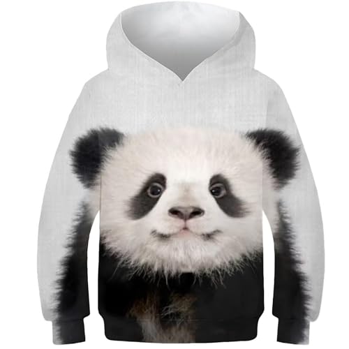 evimo 3D-Druck Baby Pandabär Buntes Sweatshirt Junge Hoodie Sweashirt Pullover Kinder Kapuzenpullover Lange Ärmel für Jungen und Mädchen mit Taschen 6-7Y von evimo