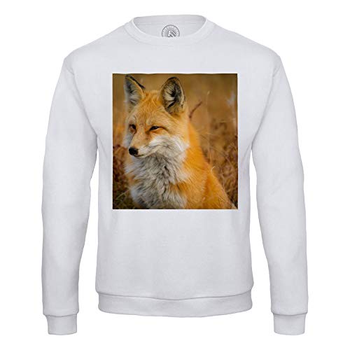 Fabulous Sweatshirt für Männer Großartiger Fuchs Weizenfeld Prärie Natur Wild von Fabulous