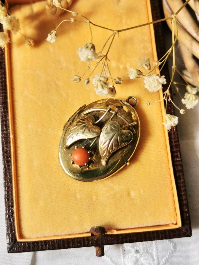 Jugendstil Korallen Foto Medaillon Ketten Anhänger Um 1920 Heart Leaf Philodendron Coral Photo Pendent von fairytailjewelry
