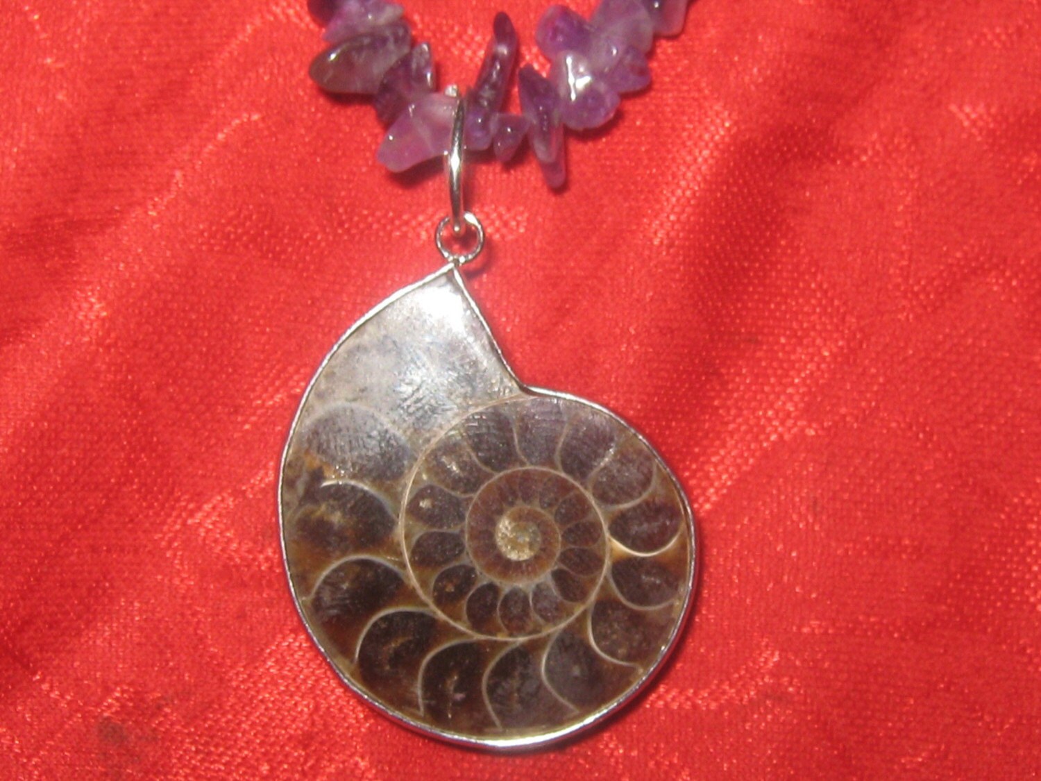 Wunderschöne Amethyst Ammonit Fossil Halskette Wunderschöne Amethyst Ammonit Fossil Halskette von fantazy007