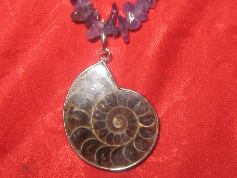 Wunderschöne Amethyst Ammonit Fossil Halskette Wunderschöne Amethyst Ammonit Fossil Halskette von fantazy007