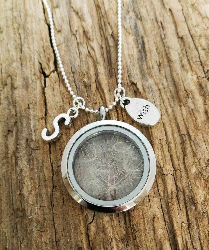 Pusteblume Medaillon Kette von farbenspielschmuck