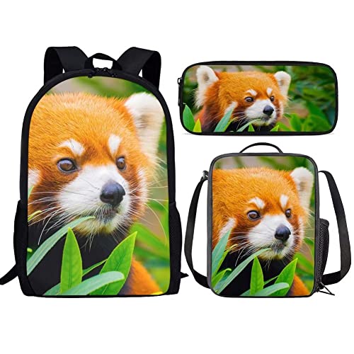 Rucksack und Lunchbox mit Panda-Motiv, für Mädchen, Kinder, Jungen, Grundschule, Büchertasche von fifbird