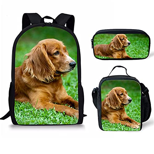 fifbird Golden Retriever Schulrucksack- und Lunchtaschenset für Mädchen und Jungen, mit Federmäppchen für Damen, Familie, Teenager, Mädchen, Arbeit, Golden Retrieve, Einheitsgröße, Tagesrucksäcke von fifbird