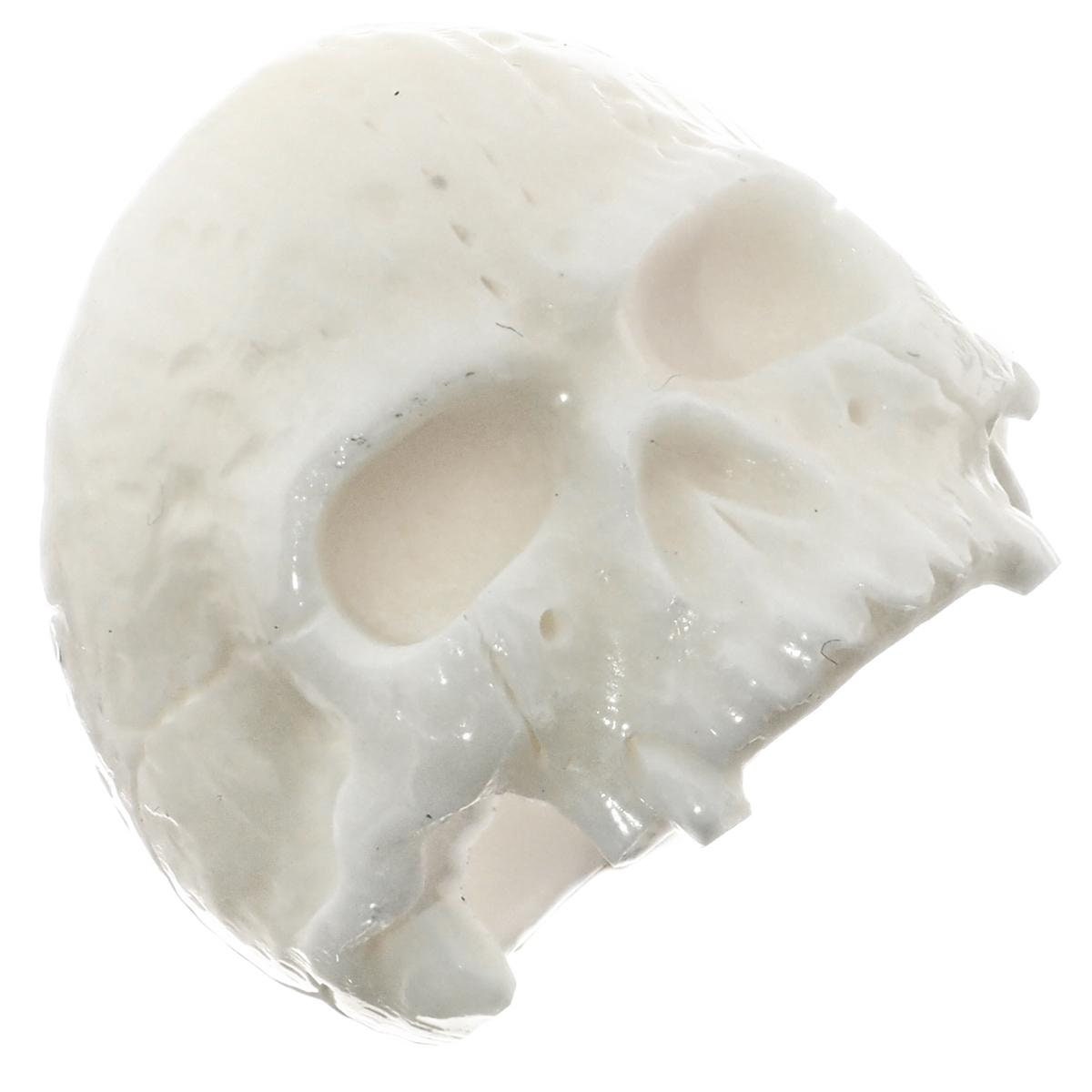 1 "Großer Kieferloser Schädel Bison Knochen Herren Schnitzender Ring von fifirosedesigns