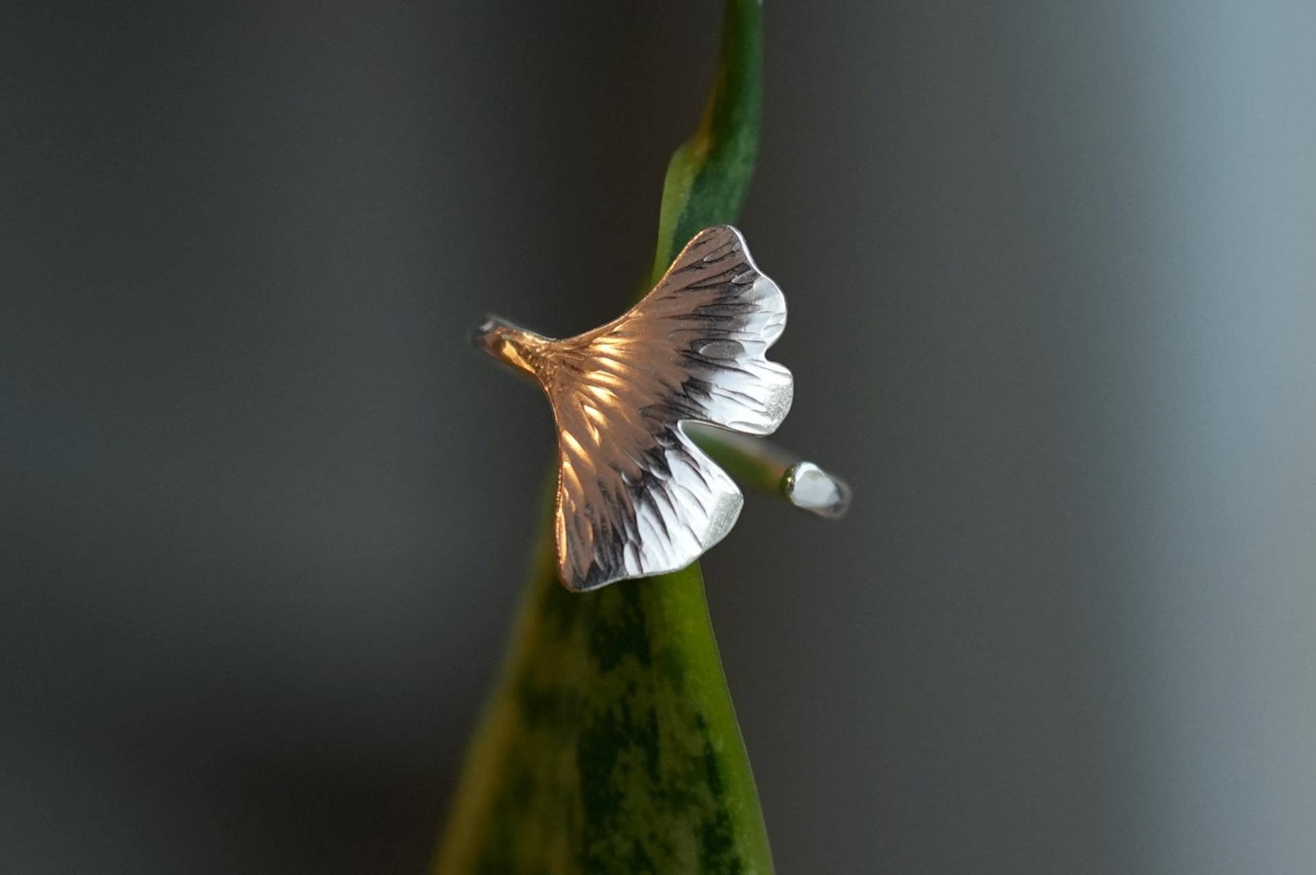 Ginkgo Ring, 925 Ringe, Natur Schmuck, Blattring, Statement-Ringe, Ginko, Valentinstag, Unikate, Verstellbarer Nachhaltig Ginkgo Ring, 925 Ringe, Natur Schmuck, Blattring, Statement-Ringe, Ginko, Valentinstag, Unikate, Verstellbarer Nachhaltig von finejewelryaiko