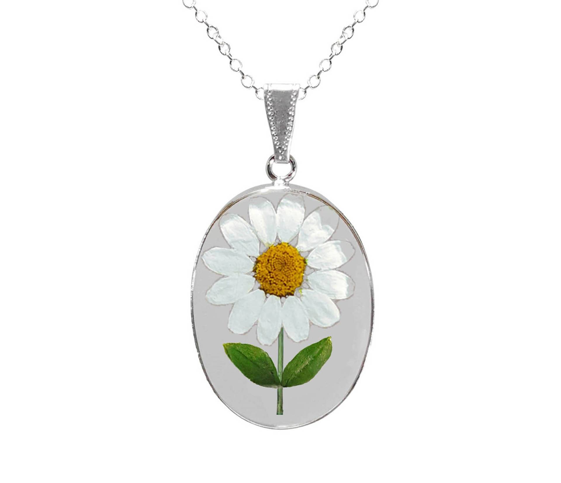 Gänseblümchen Halskette, Großes Oval, Transparent Gänseblümchen Halskette, Großes Oval, Transparent von flowersjewelrystudio