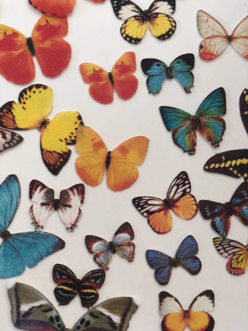 Eyecatcher Für Die Haut - Wunderschöne Schmetterlinge Aus Hauchzartem Filz Mit Hautklebestreifen Eyecatcher Für Die Haut - Wunderschöne Schmetterlinge Aus Hauchzartem Filz Mit Hautklebestreifen von fluttergems