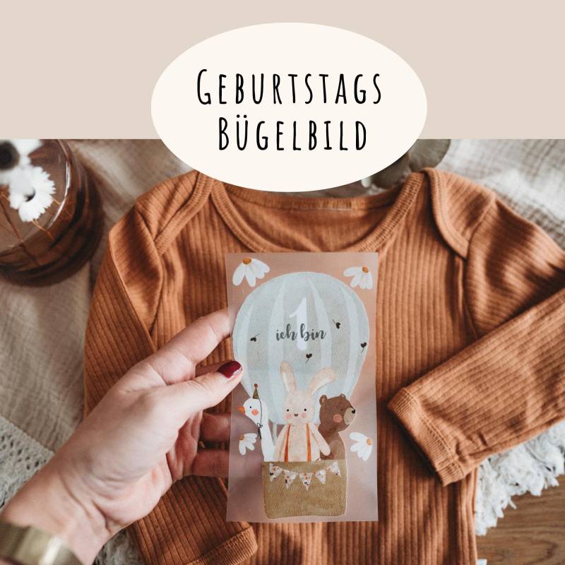 Bügelbild 1. Geburtstagsshirt Ballonfahrt Bär Gänseblume Salbei Ballon von frauselma