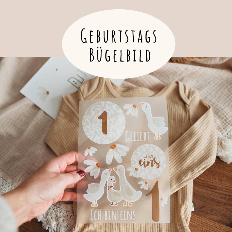 Bügelbild 1. Geburtstagsshirt Gänse Gänseblume Boho Beige von frauselma