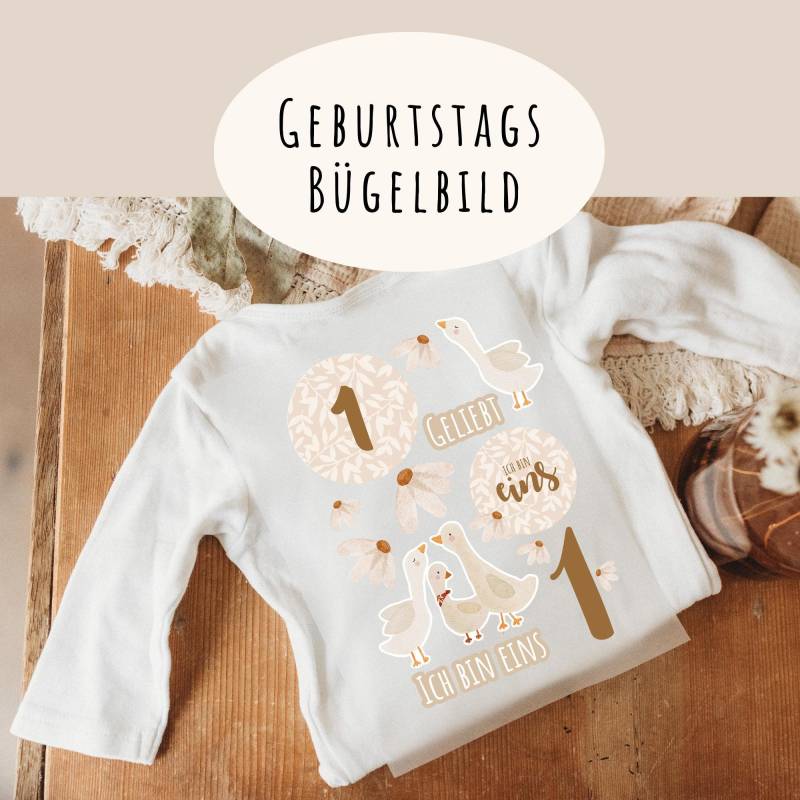 Bügelbild 1. Geburtstagsshirt Gänse Gänseblume Boho Beige Bügelbild 1. Geburtstagsshirt Gänse Gänseblume Boho Beige von frauselma