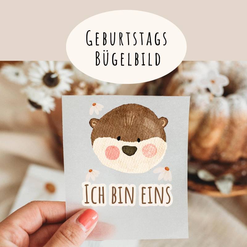 Bügelbild Geburtstag Otter Bär Gänseblume Boho von frauselma