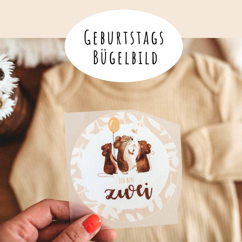 Geburtstagsbügelbild 2. Geburtstagsshirt Mäuse Luftballon Gänseblume Beige Blume von frauselma