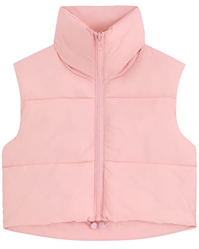 fuinloth Damen Weste Kurz Stehkragen Steppweste Warm Winter Crop Puffer Weste mit Reißverschluss Ärmellose Übergangsweste Rosa XL von fuinloth