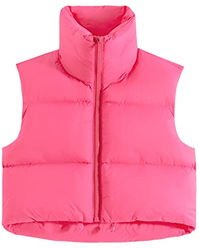 fuinloth Damen Weste Kurz Stehkragen Steppweste Warm Winter Crop Puffer Weste mit Reißverschluss Ärmellose Übergangsweste Rosenrot M von fuinloth