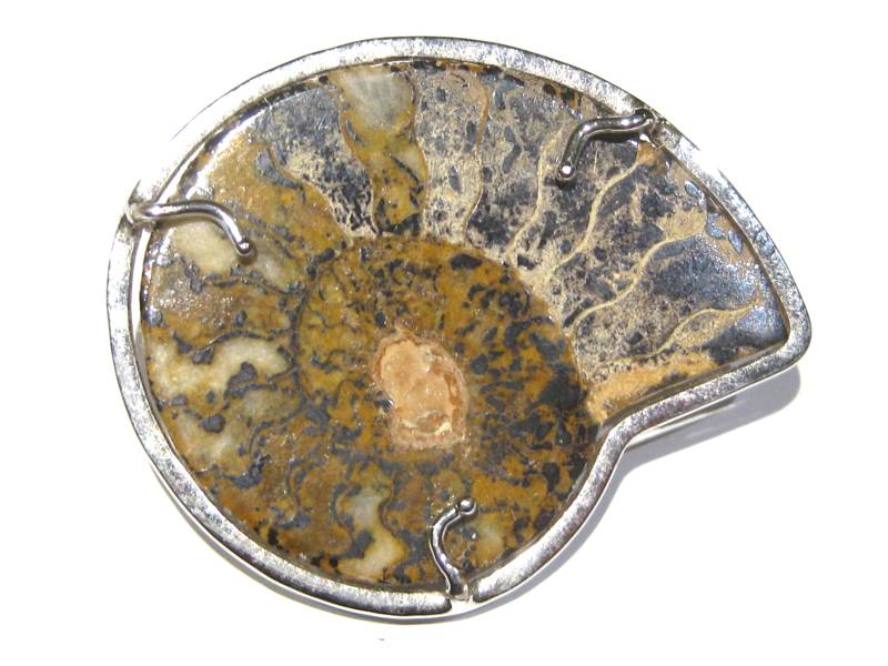 Ammonit-Fossil Brosche von giacobbi