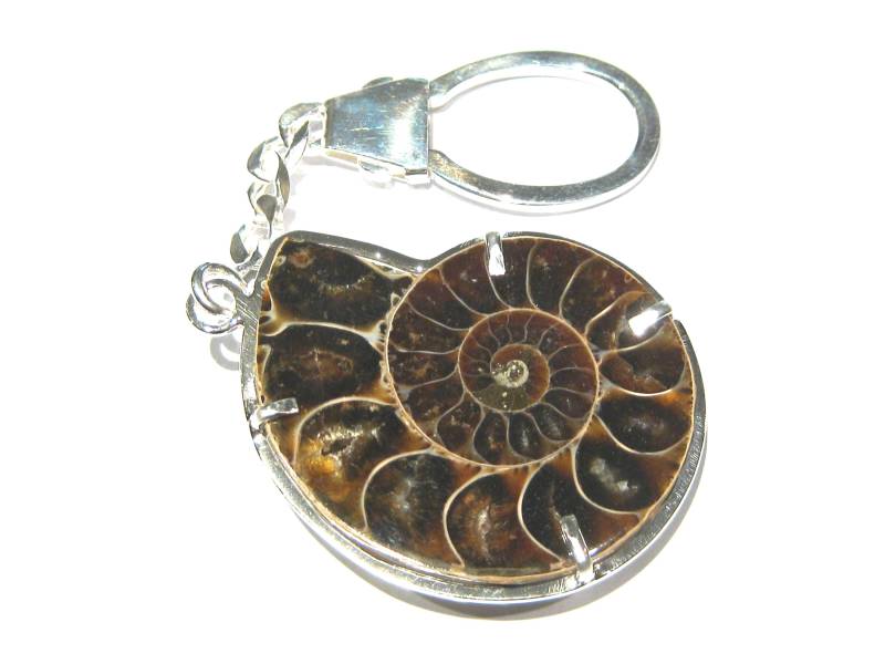 Ammonit Fossil Keyrings Silber 925% von giacobbi