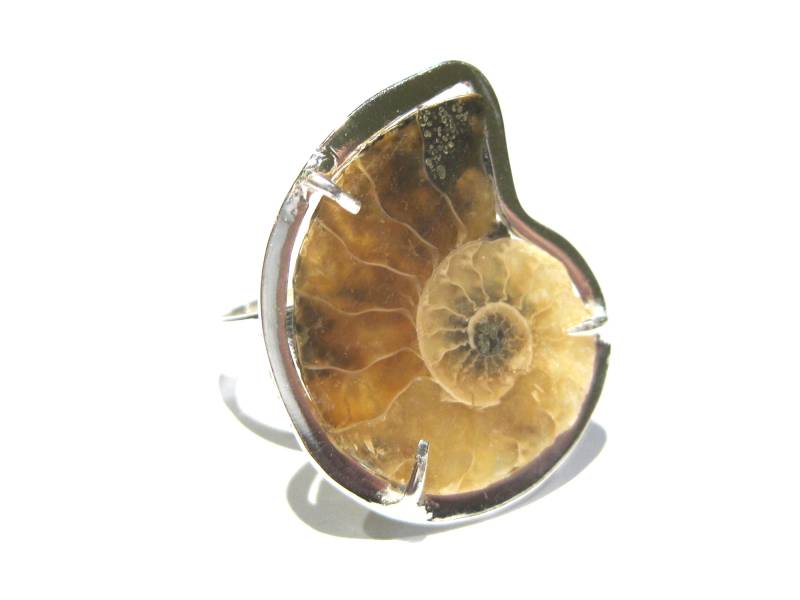 Ammonit Ring Silber 925% von giacobbi