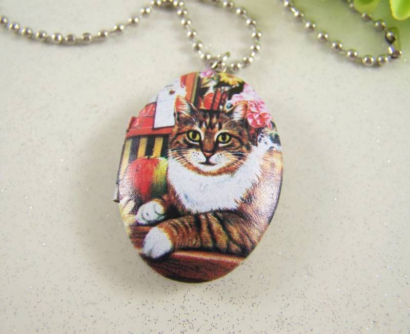 Braune Katze Medaillonkette Halskette Halsschmuck Foto Kater Tiere Geschenk Zum Öffnen Frauen Mädchen Geburtstag Hochzeitstag Muttertag von glanzundgeschmeide