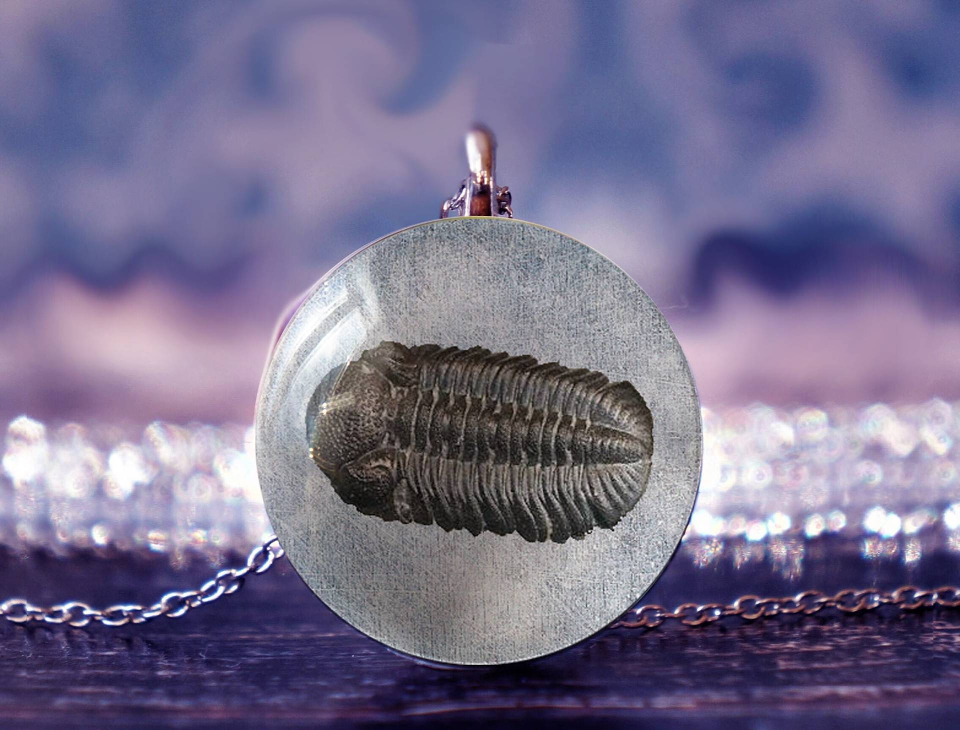 Trilobit Halskette , Anhänger Fossil Schmuck von glassory