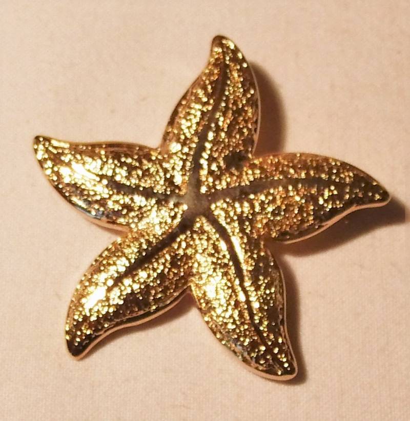 Goldfarbene Brosche Seestern 80Er Jahre, Geschenk Frauen, Maritimer Anstecker, Für Wasserfreunde, Strand, Art 613353574 von goldknoepfchen