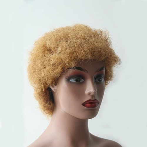 Perücken Lockige Bob-Perücken aus Echthaar, Farbe for Frauen, kurze Pixie-Cut-Perücke, Echthaarperücke Damenperücke(Honey blonde) von guiling-1986