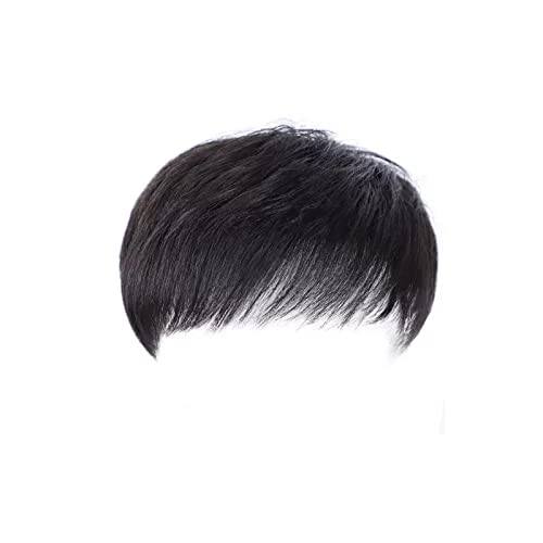 Perücken Perücke Männlich Kurzes Haar Hübsches Echthaar Echthaaransatz Kopf Patch Männer Perücke Vollkopf Set Typ Damenperücke(Color:A,Size:18x20CM) von guiling-1986