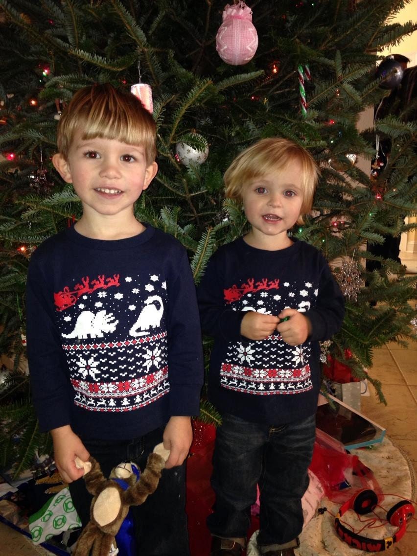 Kinder Weihnachtspullover Langarmshirt Dinosaurier Und Weihnachtsmann - Langarm Kleinkind Jugend Größen von handjobdesign