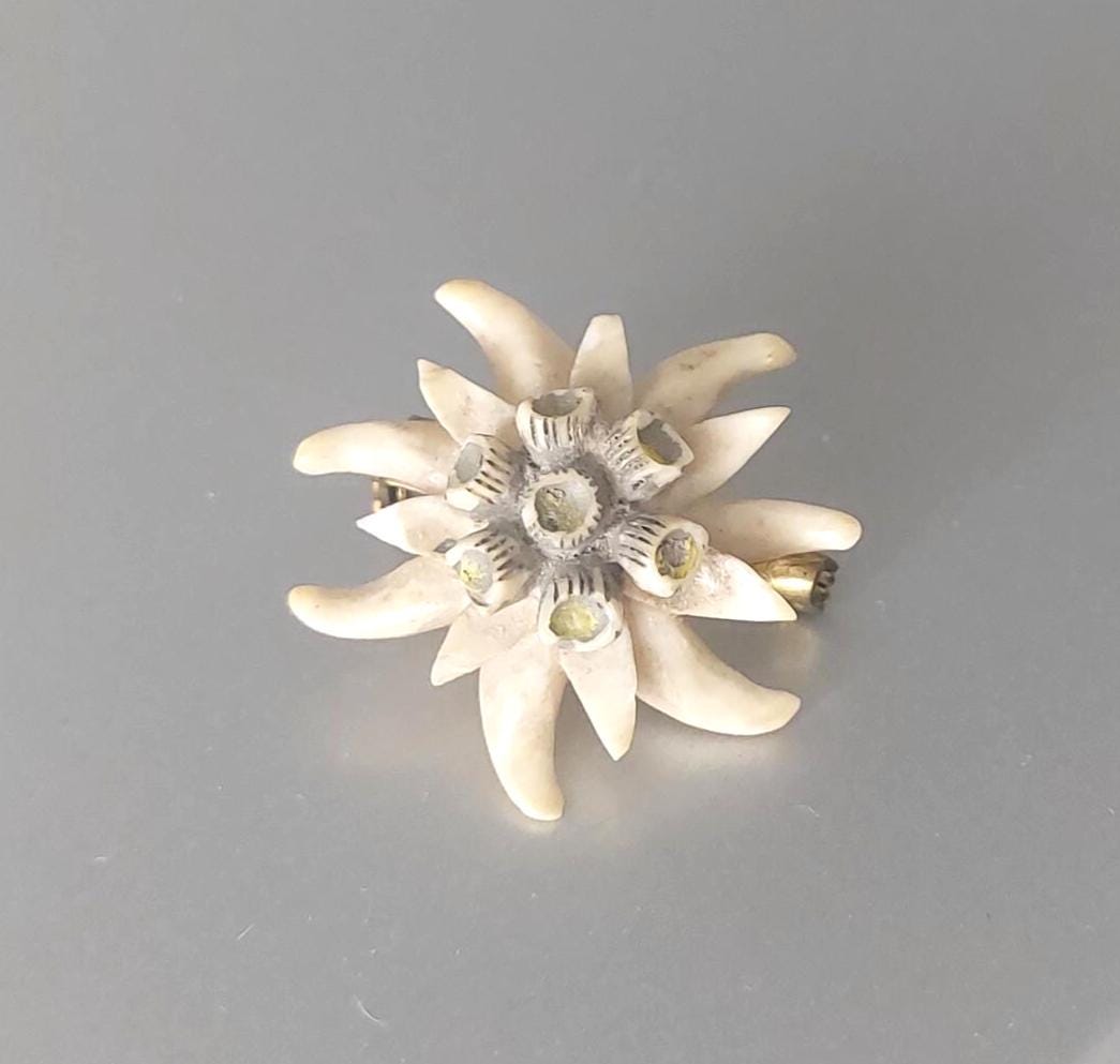 Vintage Edelweiß Brosche Aus Horn Geschnitzt Ein 1930Er Jahre Souvenir von hard2findstuff