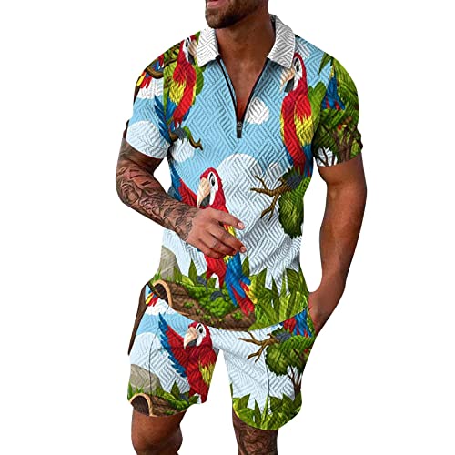 hehiy Männer Trainingsanzug Set 2-teilige Anzughose Polo Shirt Knopf Kurzarm Strand Joggers Gym Top Casual Laufen Sport Sweat Activewear Sport Set Herren Fitness Bekleidung Fashion Print von hehiy