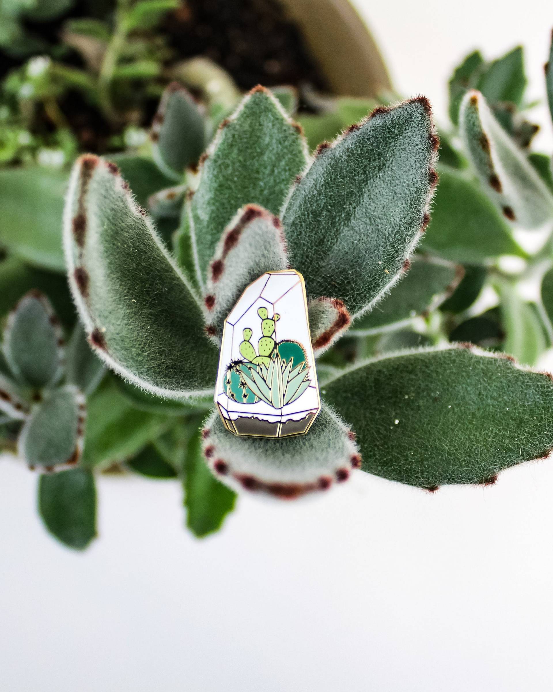 Terrarium Emaille Pin Terrarium Emaille Pin von hemleva