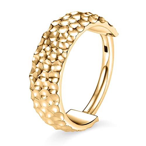 Hengkaixuan 16G Conch Creolen Gold Nasenring Huggie Ohrringe Chirurgenstahl Hinged Segment Clicker Ring Knorpelohrring Lappenohrring Ohrpiercing Hengkaixuan 16G Conch Creolen Gold Nasenring Huggie Ohrringe Chirurgenstahl Hinged Segment Clicker Ring Knorpelohrring Lappenohrring Ohrpiercing von hengkaixuan