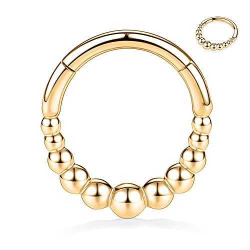16G Seamless Hinged Segment Clicker Ring Septum Clicker Daith Ohrringe Chirurgischer Stahl Conch Ring Conch Hoop Ring Gold Nose Hoop Ringe 10mm Helix Knorpel Piercing Schmuck für Frauen Mädchen von hengkaixuan