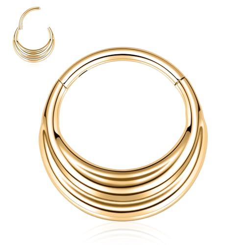 16G Septum Nose Hoop Ring Gold Septum Piercing Septum Schmuck Septum Clicker Ring 316L Edelstahl Daith Ohrring Tragus Rook Knorpel Hoop Ohrring Helix Conch Piercing Schmuck 10mm für Frauen von hengkaixuan