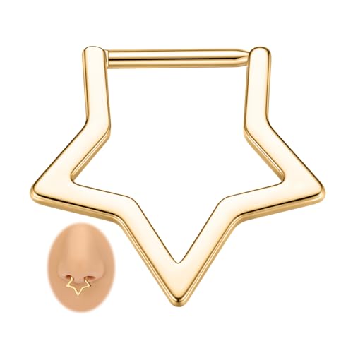 Gold Septum Nasenring Stern Septumschmuck 16G Daith Ohrring Chirurgischer Stahl Rook Tragus Lobe Ohrring 8 mm Conch Knorpel Helix Piercing Schmuck für Frauen von hengkaixuan