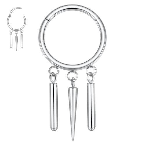 hengkaixuan 16G Septum Nasenring Silber Conch Hoop Ohrring Ohrläppchen Ohrring Nahtloser Klickverschlussring 316L Chirurgenstahl Knorpel Helix Tragus Piercing 8 mm für Frauen und Männer hengkaixuan 16G Septum Nasenring Silber Conch Hoop Ohrring Ohrläppchen Ohrring Nahtloser Klickverschlussring 316L Chirurgenstahl Knorpel Helix Tragus Piercing 8 mm für Frauen und Männer von hengkaixuan