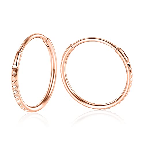 hengkaixuan 2 STÜCKE 20G Creolen 10mm Knorpelohrringe Creolen Ring Nasenring Roségold Lobe Ohrringe für Frauen Mädchen 316L Chirurgenstahl Hypoallergen Ohrringe Piercing Schmuck von hengkaixuan