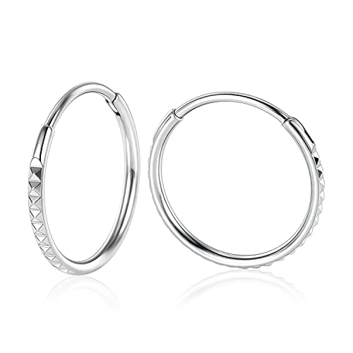 hengkaixuan 2 STÜCKE 20G Creolen 8mm Knorpelohrringe Creolen Silber Lobe Ohrringe für Frauen Mädchen 316L Chirurgenstahl Hypoallergen Ohrringe Piercing Schmuck von hengkaixuan