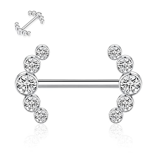 hengkaixuan Nippel Barbell G23 Titan Nippel Piercing 14G Nippelringe Nippelringe mit Gewinde Silber Nippelringe Nippelstangen mit Kubikzirkon Nippel Piercing Schmuck für Frauen 12mm von hengkaixuan