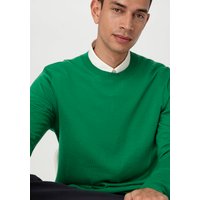 hessnatur Herren Feiner Pullover Regular aus Bio-Merinowolle - grün - Größe 50 von hessnatur