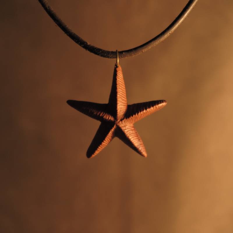Handgemachte Starfischkette Handgemachte Starfischkette von hewoodlandshop