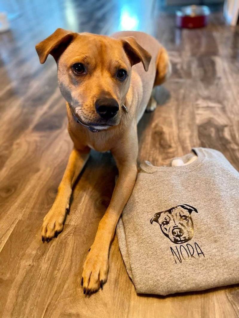 Benutzerdefinierte Haustierpullover | Hund Katze Personalisierter Tierpullover Haustier Gesicht von higherloveeco