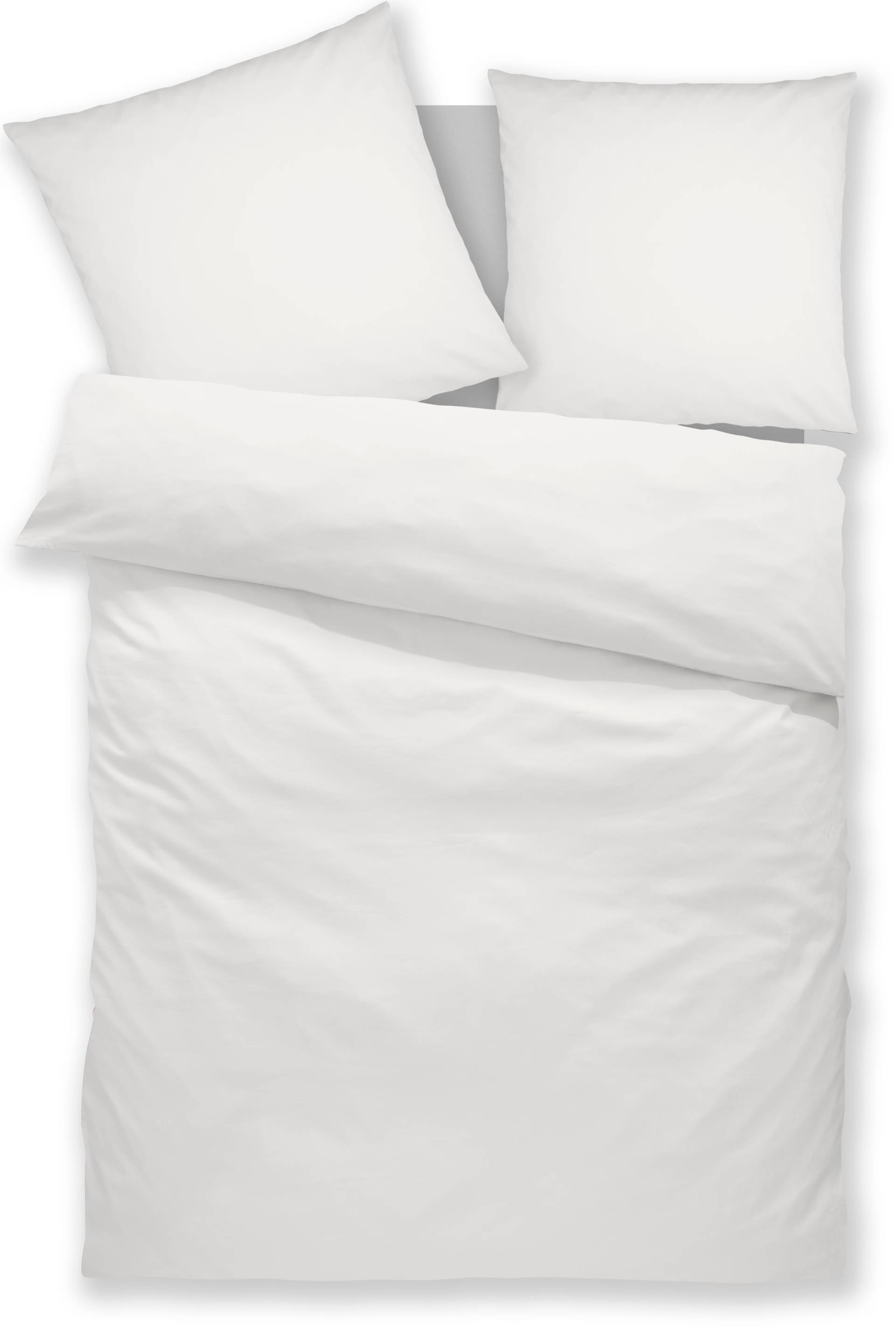 Home affaire Bettwäsche "Luisa" 2 Stk. tlg. NEUHEIT: 100% Baumwolle, ab Gr. 135x200 cm, in zwei Qualitäten von home affaire