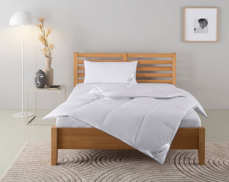 Home affaire Daunenbettdecke + Kopfkissen "Moulle, Bettdecke in 135x200 cm, 155x220 cm, 2-tlg." Set mit Kissen 40x80 cm, 80x80 cm, Sommer, Winter, Made in Germany von home affaire