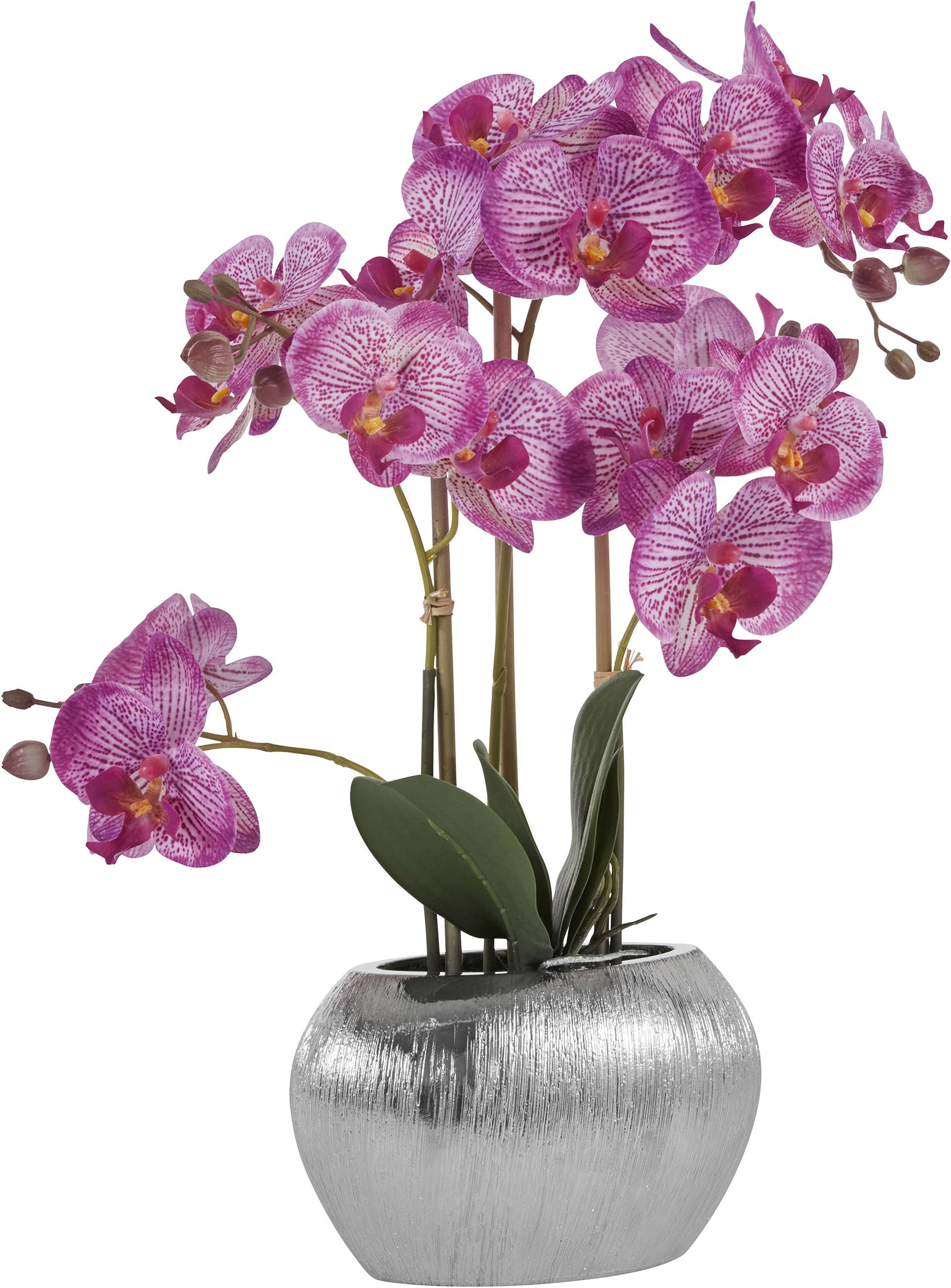 Home affaire Kunstpflanze "Orchidee", Kunstorchidee, im Topf von home affaire