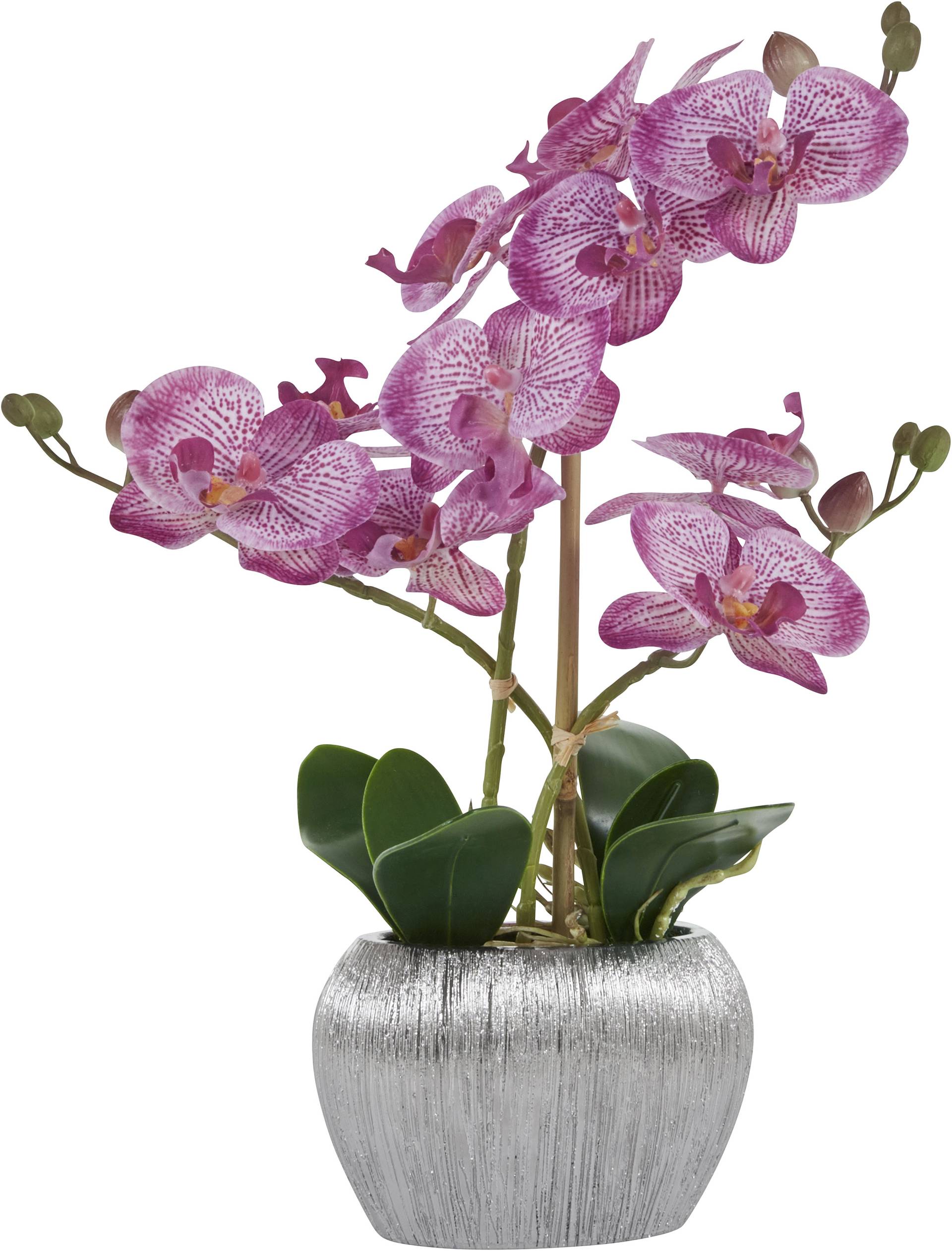 Home affaire Kunstpflanze "Orchidee" Kunstorchidee, im Topf von home affaire